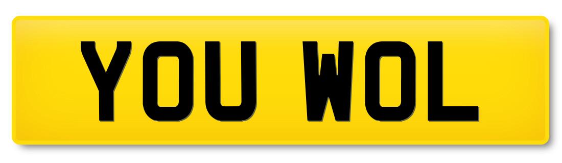 Image to represent Wolves number plates